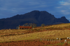 P1020926