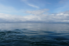 P1040556