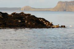P1040620
